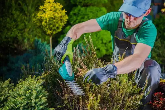 landscaping services Flanders